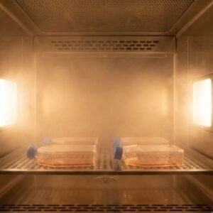 Incubadora de CO2 con Sensor IR